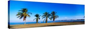 Palm Trees on the Beach, Puerto La Cruz, Anzoategui State, Venezuela-null-Stretched Canvas