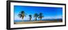 Palm Trees on the Beach, Puerto La Cruz, Anzoategui State, Venezuela-null-Framed Photographic Print