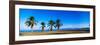 Palm Trees on the Beach, Puerto La Cruz, Anzoategui State, Venezuela-null-Framed Photographic Print