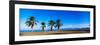 Palm Trees on the Beach, Puerto La Cruz, Anzoategui State, Venezuela-null-Framed Photographic Print