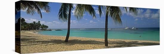 Palm Trees on the Beach, Sainte-Anne Beach, Sainte-Anne, Grande-Terre, Guadeloupe-null-Stretched Canvas