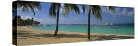 Palm Trees on the Beach, Sainte-Anne Beach, Sainte-Anne, Grande-Terre, Guadeloupe-null-Stretched Canvas