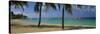 Palm Trees on the Beach, Sainte-Anne Beach, Sainte-Anne, Grande-Terre, Guadeloupe-null-Stretched Canvas