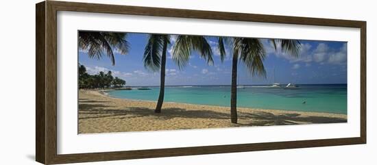 Palm Trees on the Beach, Sainte-Anne Beach, Sainte-Anne, Grande-Terre, Guadeloupe-null-Framed Photographic Print