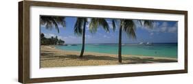 Palm Trees on the Beach, Sainte-Anne Beach, Sainte-Anne, Grande-Terre, Guadeloupe-null-Framed Photographic Print