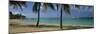 Palm Trees on the Beach, Sainte-Anne Beach, Sainte-Anne, Grande-Terre, Guadeloupe-null-Mounted Photographic Print