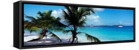 Palm Trees on the Beach, Salomon Beach, Virgin Islands National Park, St. John, Us Virgin Islands-null-Framed Stretched Canvas