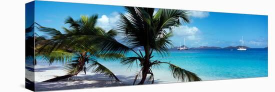 Palm Trees on the Beach, Salomon Beach, Virgin Islands National Park, St. John, Us Virgin Islands-null-Stretched Canvas