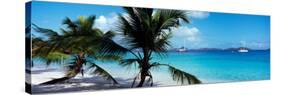 Palm Trees on the Beach, Salomon Beach, Virgin Islands National Park, St. John, Us Virgin Islands-null-Stretched Canvas
