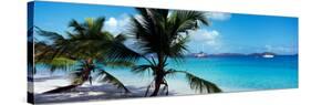 Palm Trees on the Beach, Salomon Beach, Virgin Islands National Park, St. John, Us Virgin Islands-null-Stretched Canvas