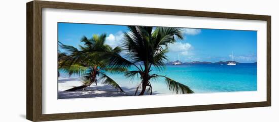 Palm Trees on the Beach, Salomon Beach, Virgin Islands National Park, St. John, Us Virgin Islands-null-Framed Photographic Print