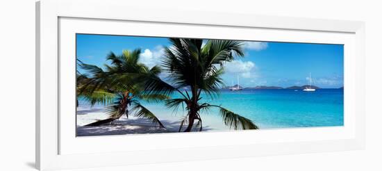 Palm Trees on the Beach, Salomon Beach, Virgin Islands National Park, St. John, Us Virgin Islands-null-Framed Photographic Print