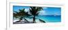 Palm Trees on the Beach, Salomon Beach, Virgin Islands National Park, St. John, Us Virgin Islands-null-Framed Photographic Print