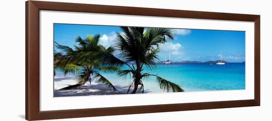 Palm Trees on the Beach, Salomon Beach, Virgin Islands National Park, St. John, Us Virgin Islands-null-Framed Photographic Print