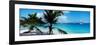 Palm Trees on the Beach, Salomon Beach, Virgin Islands National Park, St. John, Us Virgin Islands-null-Framed Photographic Print