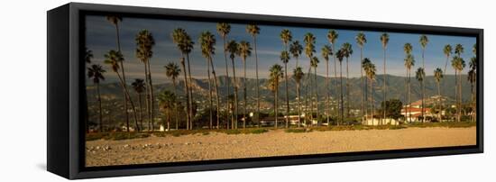 Palm Trees on the Beach, Santa Barbara, California, USA-null-Framed Stretched Canvas