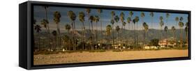 Palm Trees on the Beach, Santa Barbara, California, USA-null-Framed Stretched Canvas