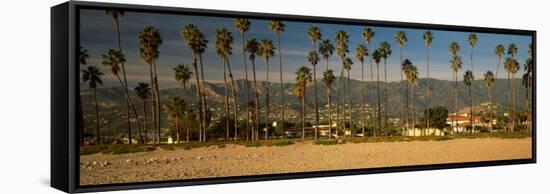 Palm Trees on the Beach, Santa Barbara, California, USA-null-Framed Stretched Canvas