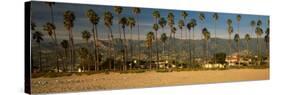 Palm Trees on the Beach, Santa Barbara, California, USA-null-Stretched Canvas