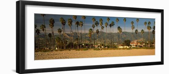 Palm Trees on the Beach, Santa Barbara, California, USA-null-Framed Premium Photographic Print