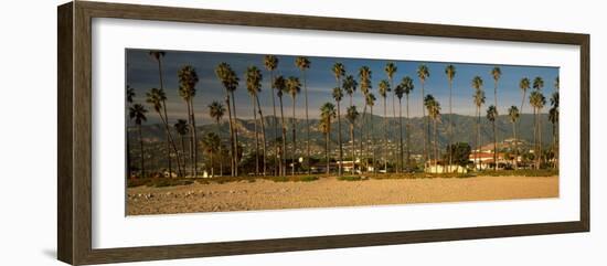 Palm Trees on the Beach, Santa Barbara, California, USA-null-Framed Photographic Print