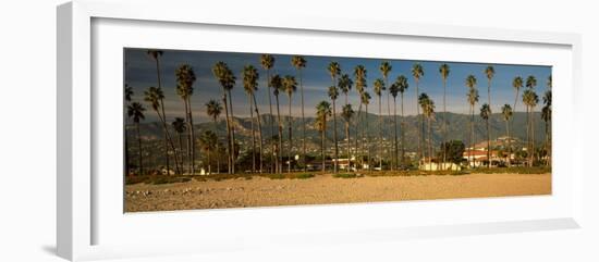 Palm Trees on the Beach, Santa Barbara, California, USA-null-Framed Photographic Print