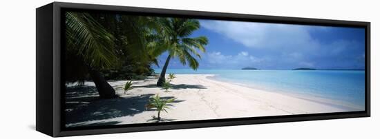 Palm Trees on the Beach, Tapuaetai, Aitutaki, Cook Islands-null-Framed Stretched Canvas