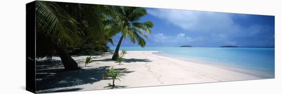 Palm Trees on the Beach, Tapuaetai, Aitutaki, Cook Islands-null-Stretched Canvas