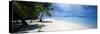 Palm Trees on the Beach, Tapuaetai, Aitutaki, Cook Islands-null-Stretched Canvas