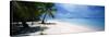 Palm Trees on the Beach, Tapuaetai, Aitutaki, Cook Islands-null-Stretched Canvas