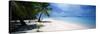 Palm Trees on the Beach, Tapuaetai, Aitutaki, Cook Islands-null-Stretched Canvas