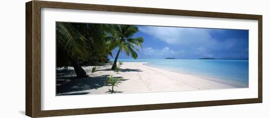 Palm Trees on the Beach, Tapuaetai, Aitutaki, Cook Islands-null-Framed Photographic Print