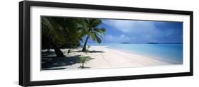 Palm Trees on the Beach, Tapuaetai, Aitutaki, Cook Islands-null-Framed Photographic Print