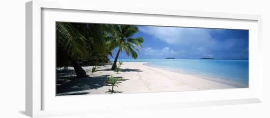 Palm Trees on the Beach, Tapuaetai, Aitutaki, Cook Islands-null-Framed Photographic Print