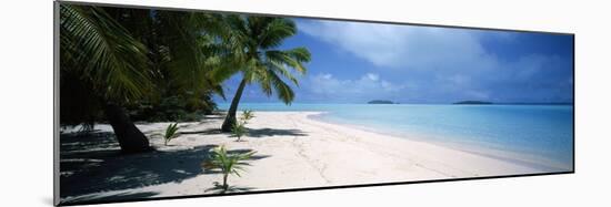 Palm Trees on the Beach, Tapuaetai, Aitutaki, Cook Islands-null-Mounted Photographic Print