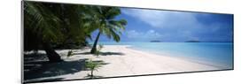Palm Trees on the Beach, Tapuaetai, Aitutaki, Cook Islands-null-Mounted Photographic Print