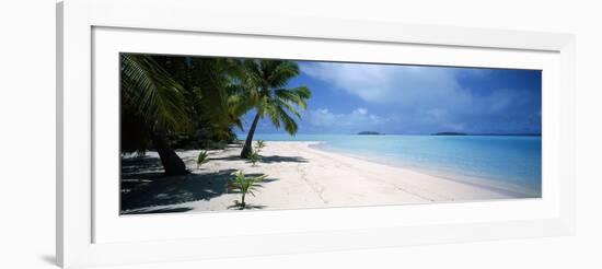 Palm Trees on the Beach, Tapuaetai, Aitutaki, Cook Islands-null-Framed Photographic Print