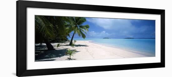 Palm Trees on the Beach, Tapuaetai, Aitutaki, Cook Islands-null-Framed Photographic Print