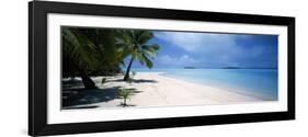 Palm Trees on the Beach, Tapuaetai, Aitutaki, Cook Islands-null-Framed Photographic Print