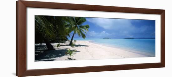 Palm Trees on the Beach, Tapuaetai, Aitutaki, Cook Islands-null-Framed Photographic Print