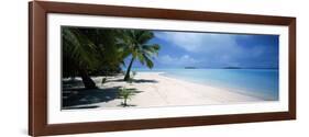 Palm Trees on the Beach, Tapuaetai, Aitutaki, Cook Islands-null-Framed Photographic Print