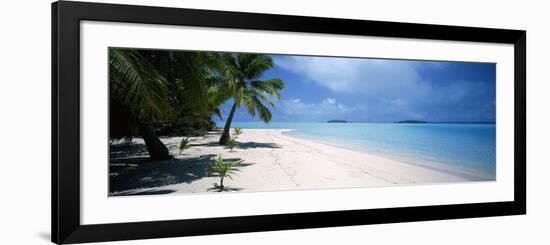 Palm Trees on the Beach, Tapuaetai, Aitutaki, Cook Islands-null-Framed Photographic Print