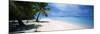 Palm Trees on the Beach, Tapuaetai, Aitutaki, Cook Islands-null-Mounted Photographic Print