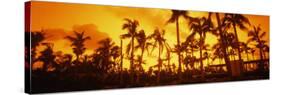 Palm Trees on the Beach, the Setai Hotel, South Beach, Miami Beach, Florida, USA-null-Stretched Canvas