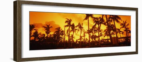 Palm Trees on the Beach, the Setai Hotel, South Beach, Miami Beach, Florida, USA-null-Framed Photographic Print