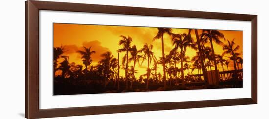 Palm Trees on the Beach, the Setai Hotel, South Beach, Miami Beach, Florida, USA-null-Framed Photographic Print