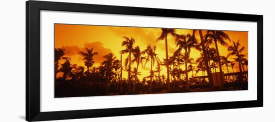 Palm Trees on the Beach, the Setai Hotel, South Beach, Miami Beach, Florida, USA-null-Framed Photographic Print