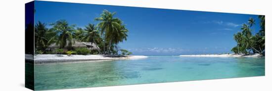 Palm Trees on the Beach, Tikehau, French Polynesia-null-Stretched Canvas