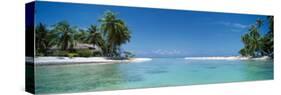 Palm Trees on the Beach, Tikehau, French Polynesia-null-Stretched Canvas