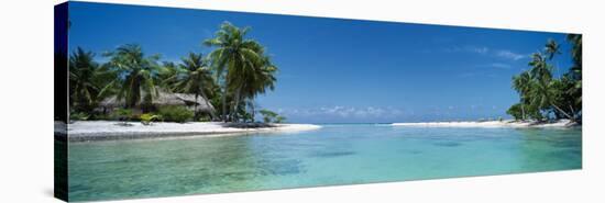 Palm Trees on the Beach, Tikehau, French Polynesia-null-Stretched Canvas